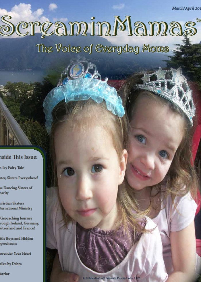 Cover of the Spring 2015 issue — our first