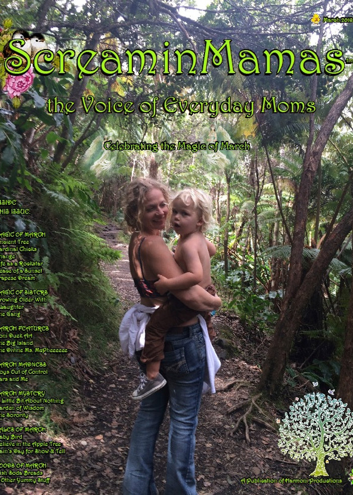Cover of the Spring 2016 issue