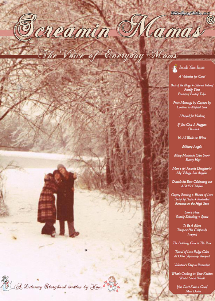 Cover of the Winter 2017 issue